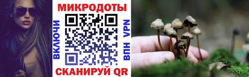 Купить закладки  Североуральск  Псилоцибиновые грибы ЛСД 